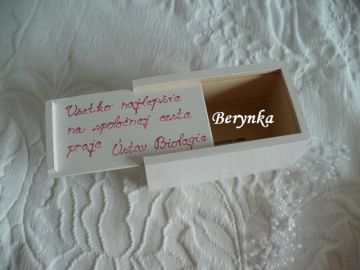 Svatební pokladnička se srdíčky a kytičkami