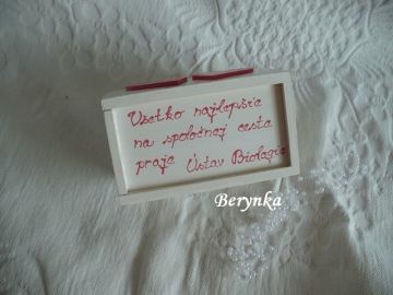 Svatební pokladnička se srdíčky a kytičkami