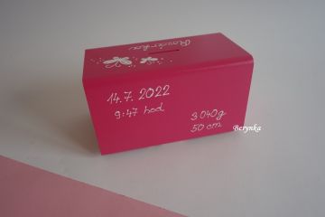 Dřevěná pokladnička s koťátkem