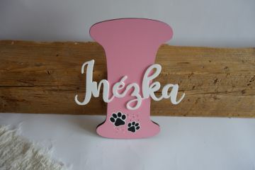 Dřevěné písmeno se jménem